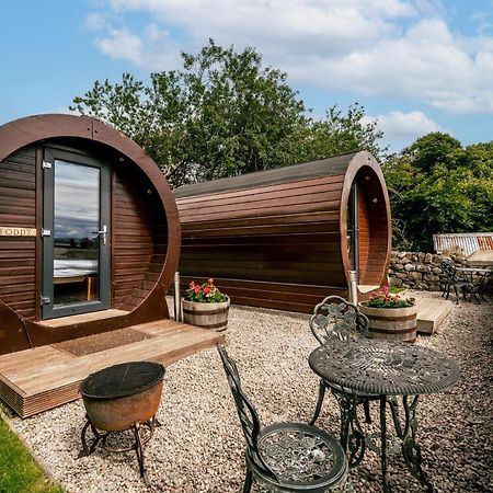 因弗戈登 Delny Glamping And Farm Animals酒店 外观 照片
