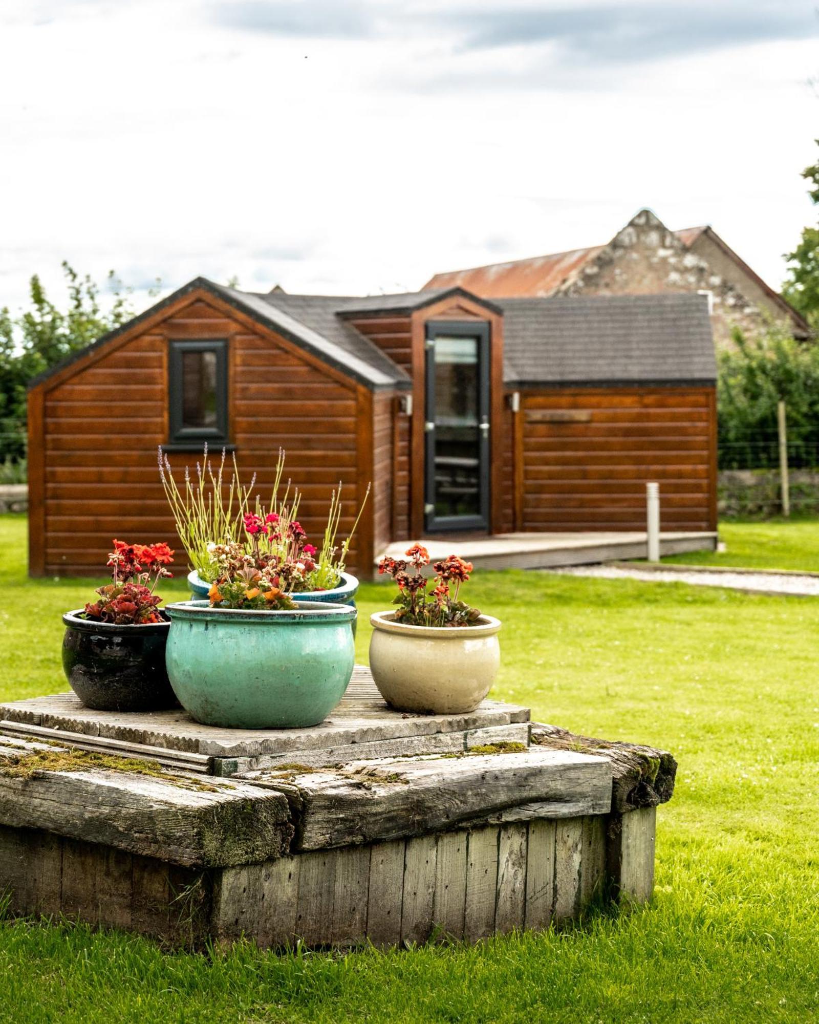 因弗戈登 Delny Glamping And Farm Animals酒店 外观 照片