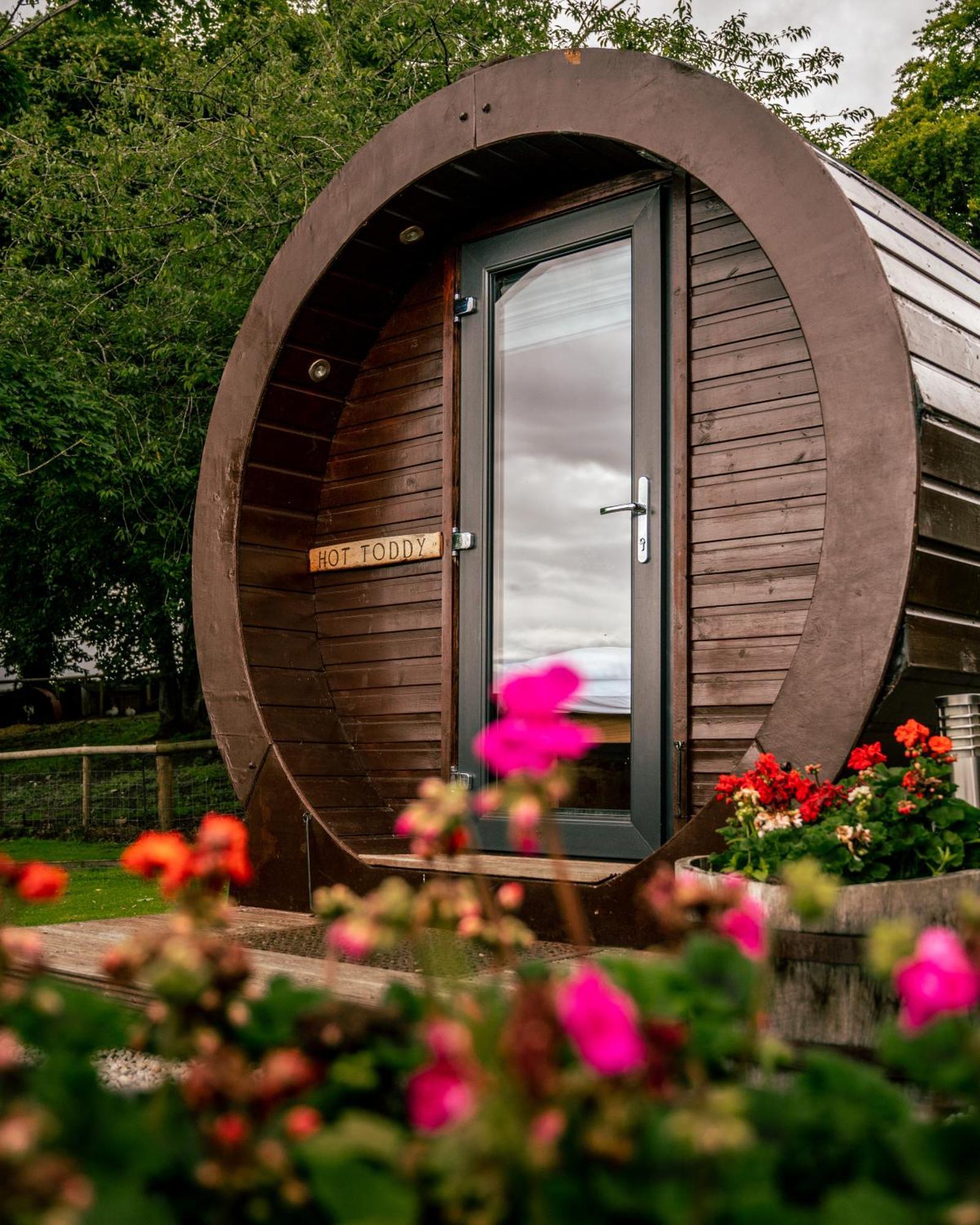 因弗戈登 Delny Glamping And Farm Animals酒店 外观 照片